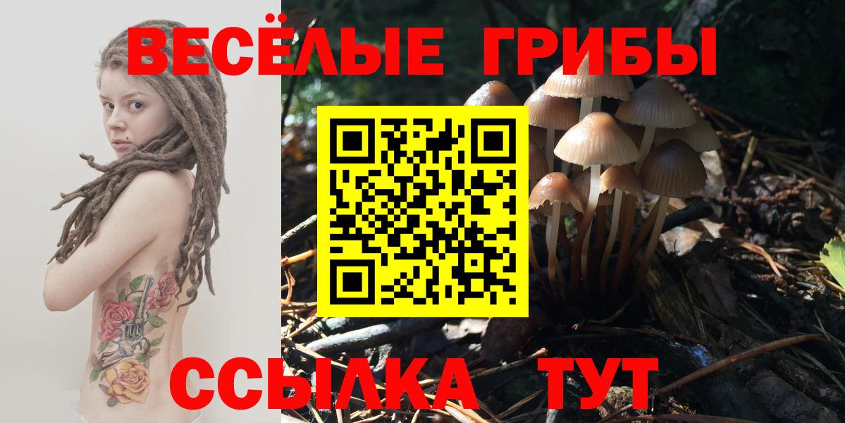 Галлюциногенные грибы мухоморы Верхняя Пышма