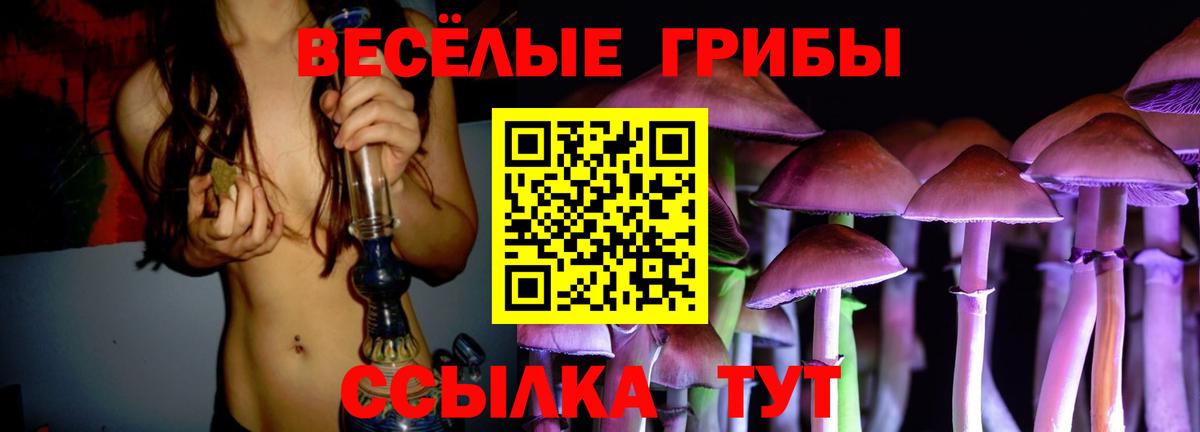 Псилоцибиновые грибы Psilocybine cubensis  Вход с VPN  Верхняя Пышма 